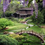 Japanski ZEN vrtovi